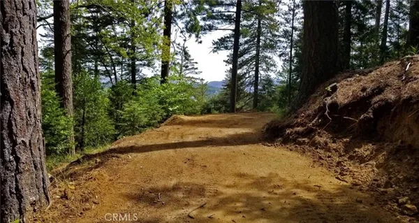 a view of dirt field with trees in the background