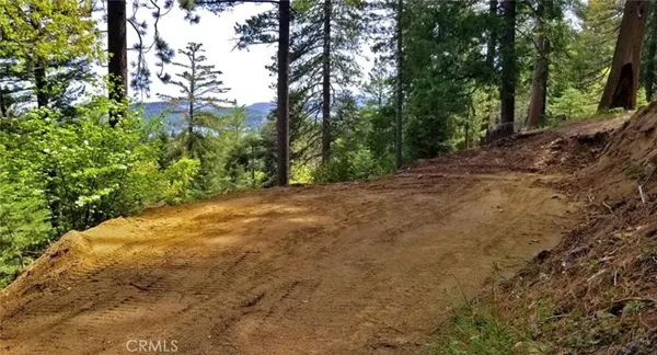 a view of a yard with large trees