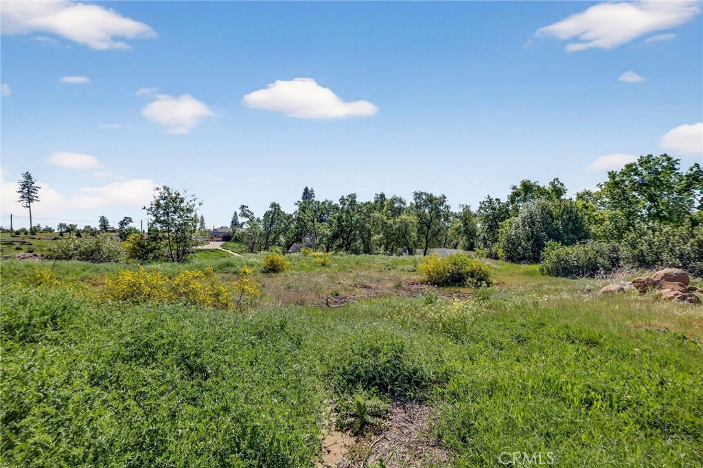 321 Burden Terrace Paradise, CA 95969 - Photo 7 of 11