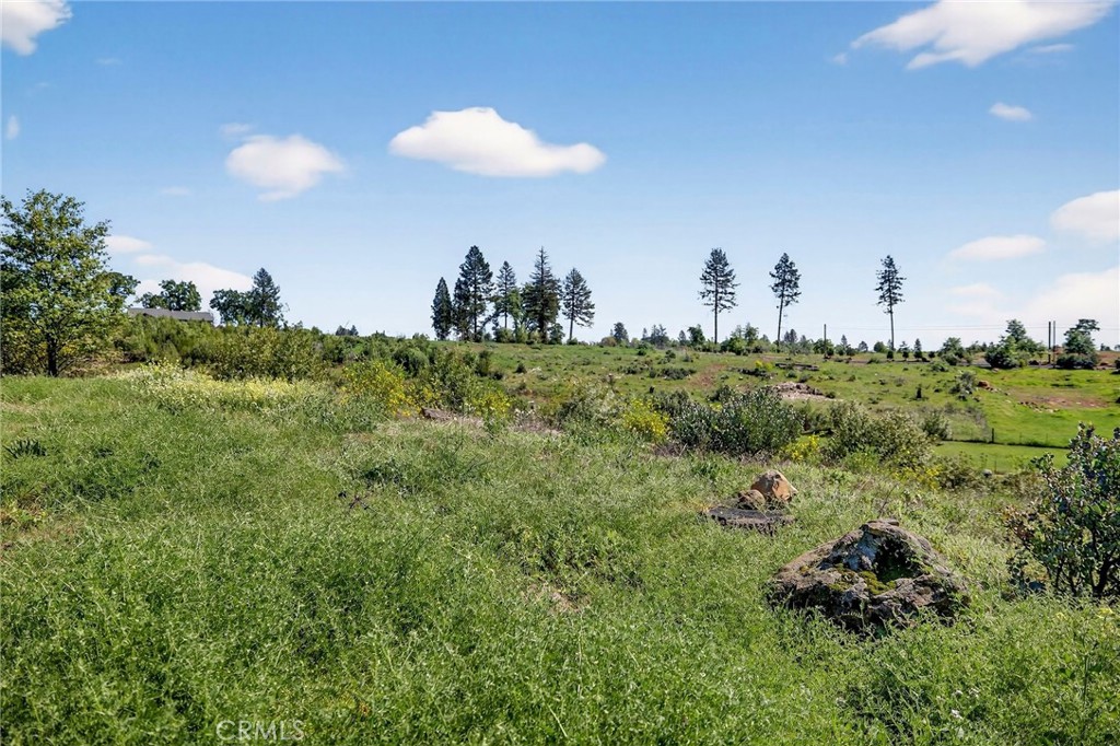 321 Burden Terrace Paradise, CA 95969 - Photo 9 of 11