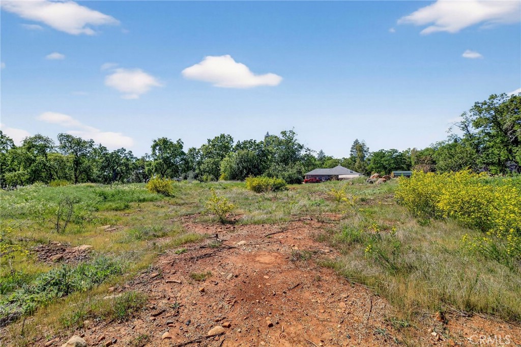 321 Burden Terrace Paradise, CA 95969 - Photo 10 of 11