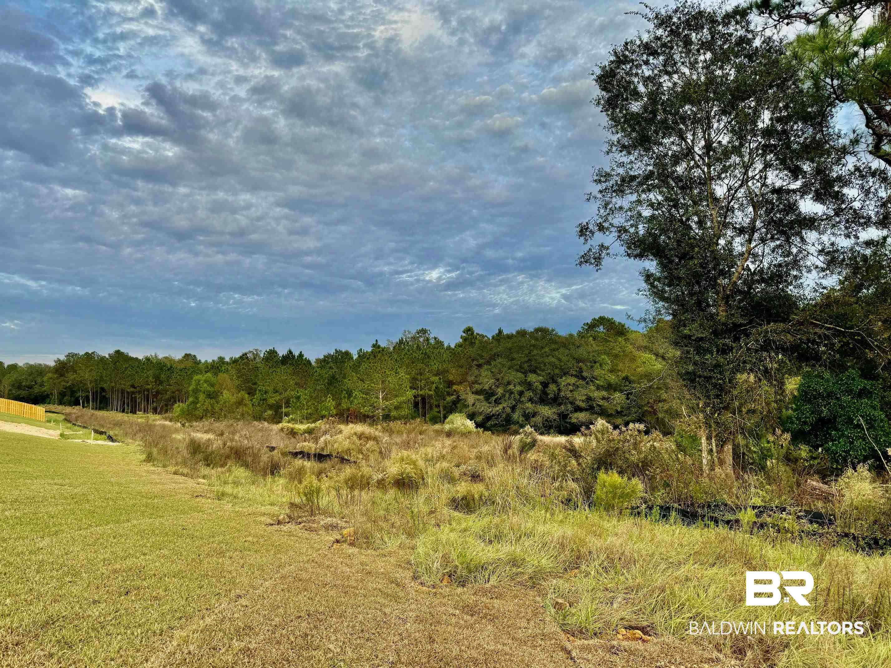 12877 Grand Rpds Road Fairhope, AL 36532 - Photo 30 of 31 Buffered wetland treeline