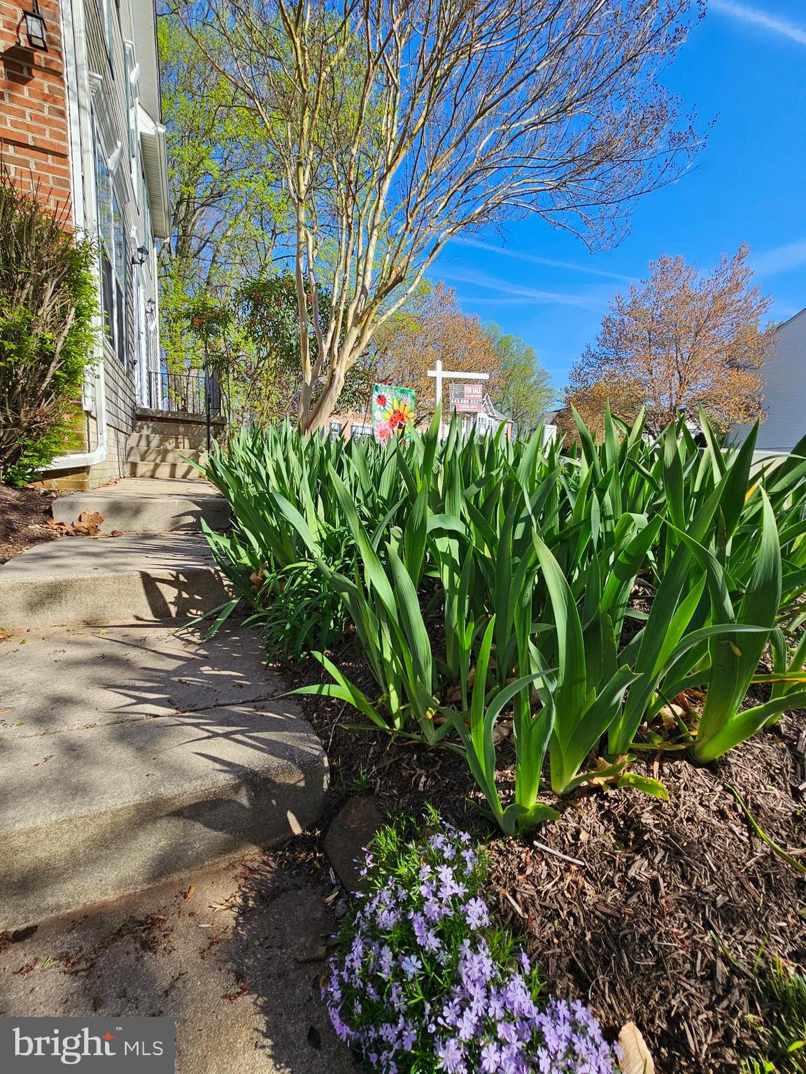 724 Shallow Ridge Court Abingdon, MD 21009 - Photo 61 of 79