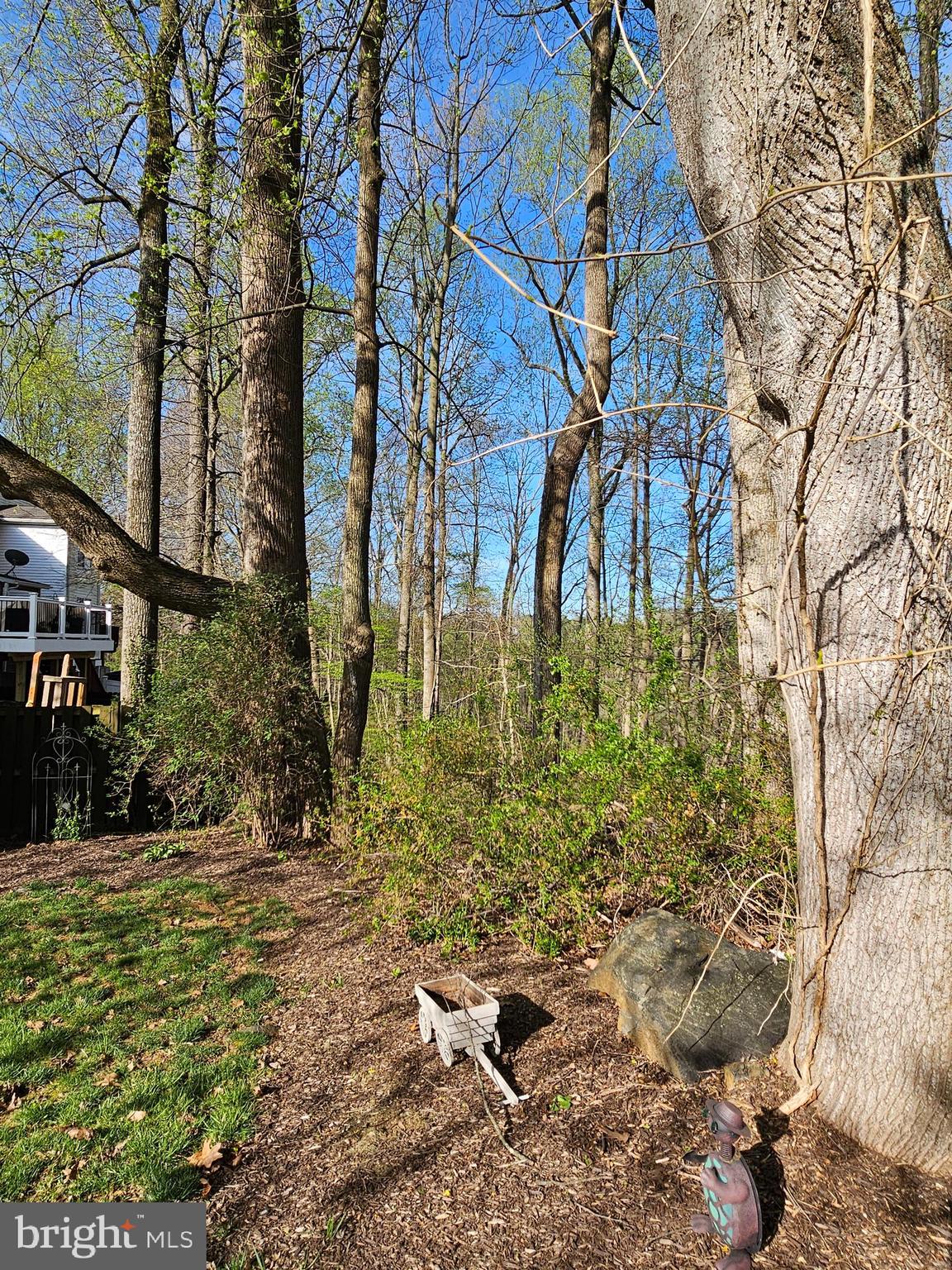 724 Shallow Ridge Court Abingdon, MD 21009 - Photo 68 of 79