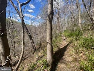 724 Shallow Ridge Court Abingdon, MD 21009 - Photo 75 of 79 Backyard overlooks wooded trails