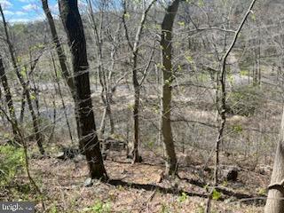 724 Shallow Ridge Court Abingdon, MD 21009 - Photo 77 of 79