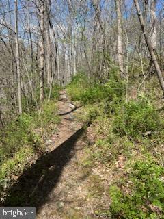 724 Shallow Ridge Court Abingdon, MD 21009 - Photo 78 of 79