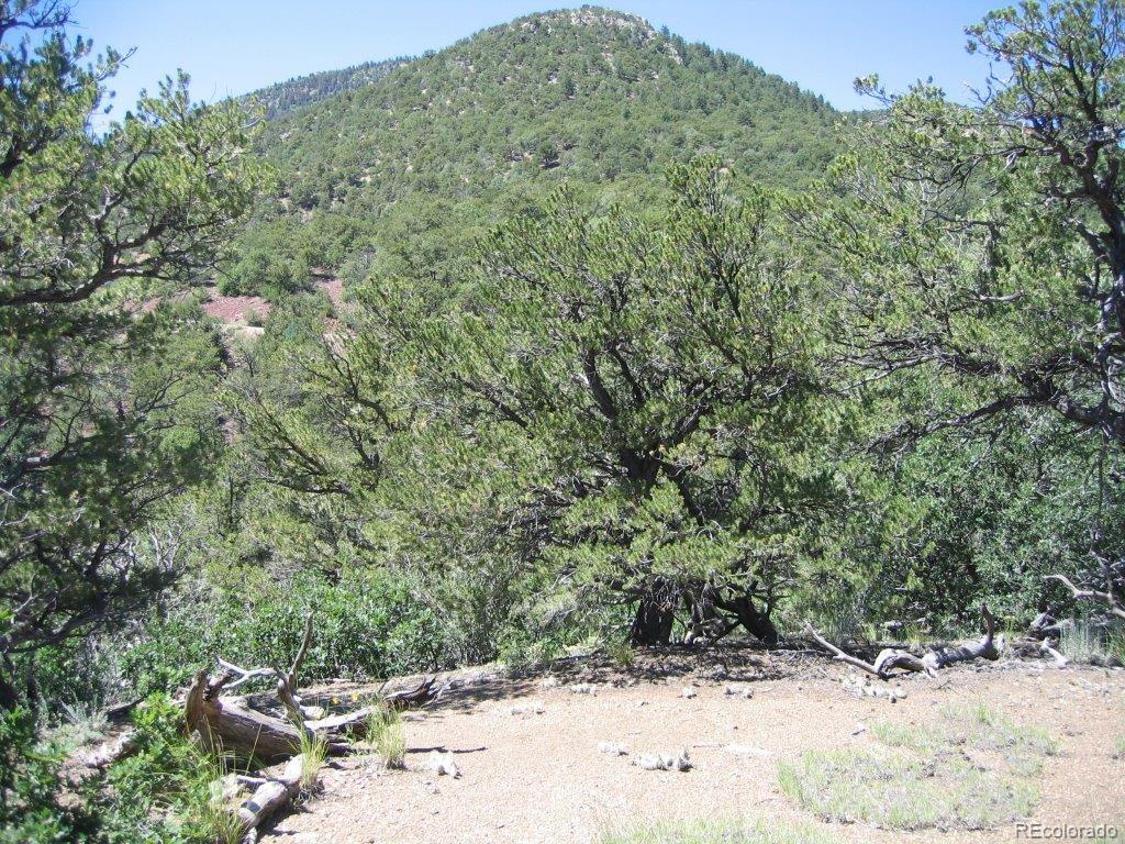 Lower Camp Road Salida, CO 81201 - Photo 3 of 11 Gallery Image 3