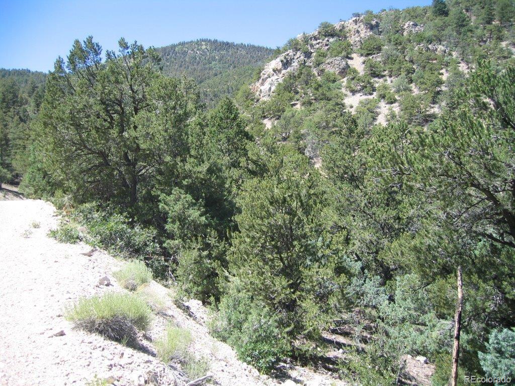 Lower Camp Road Salida, CO 81201 - Photo 8 of 11 Gallery Image 8