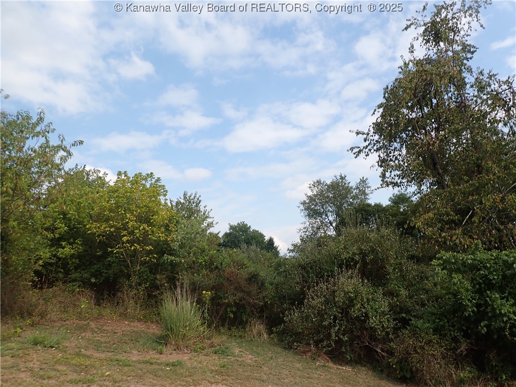 0 Sandhill Road Point Pleasant, WV 25550 - Photo 7 of 11 Gallery Image 7