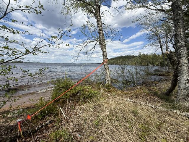 Lot12-part Indian Trail Road East Machias, ME 04630 - Photo 13 of 34 IMG_9884