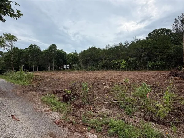 $28,000 | 278 North Millwood Street, Shell Knob, MO 65747
