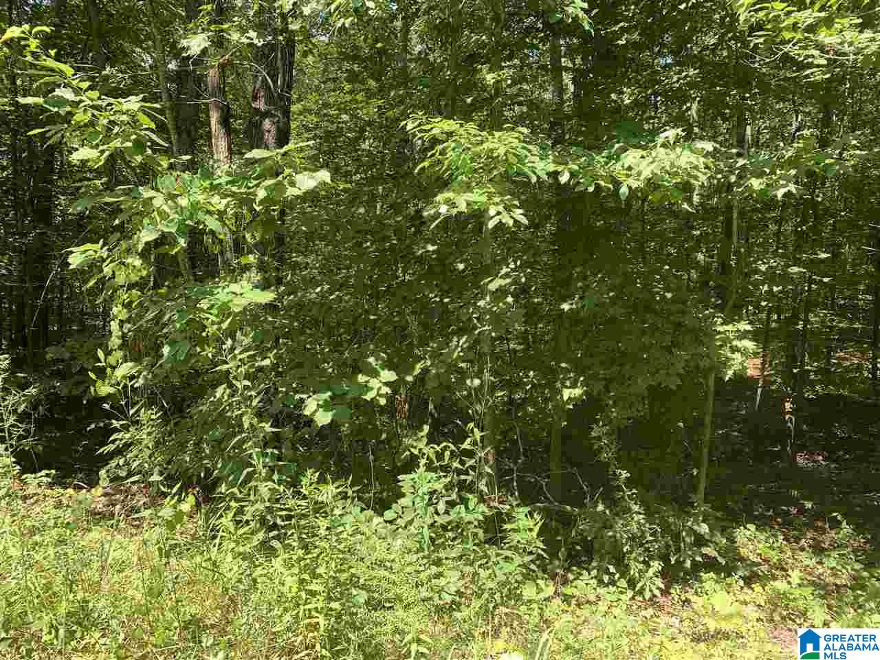 0 Hayfield Loop, Unit 16 Dora, AL 35062 - Photo 1 of 1