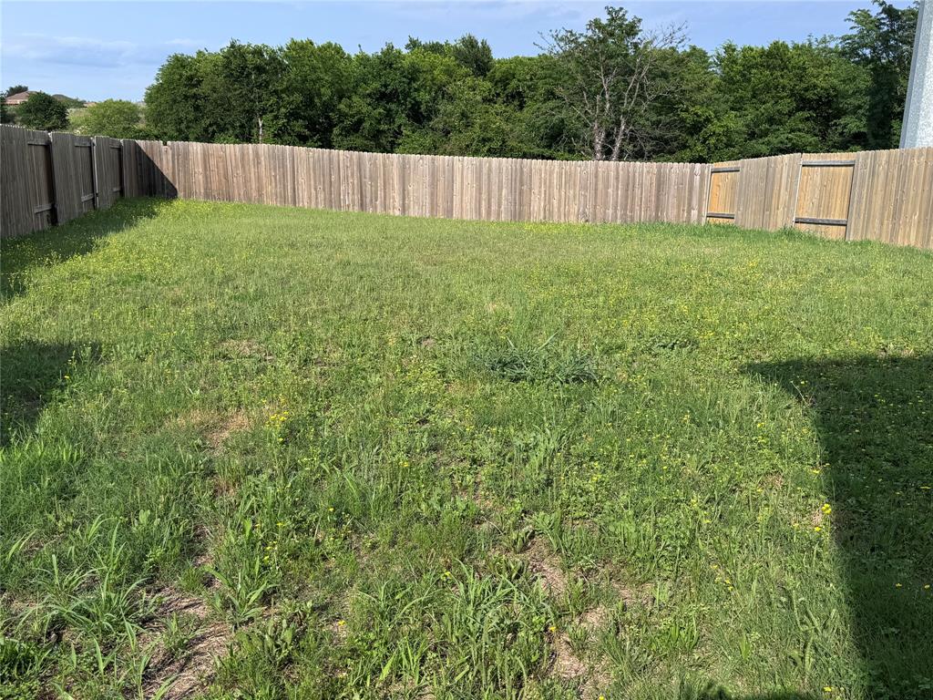152 Banjo Trail Newark, TX 76071 - Photo 3 of 32