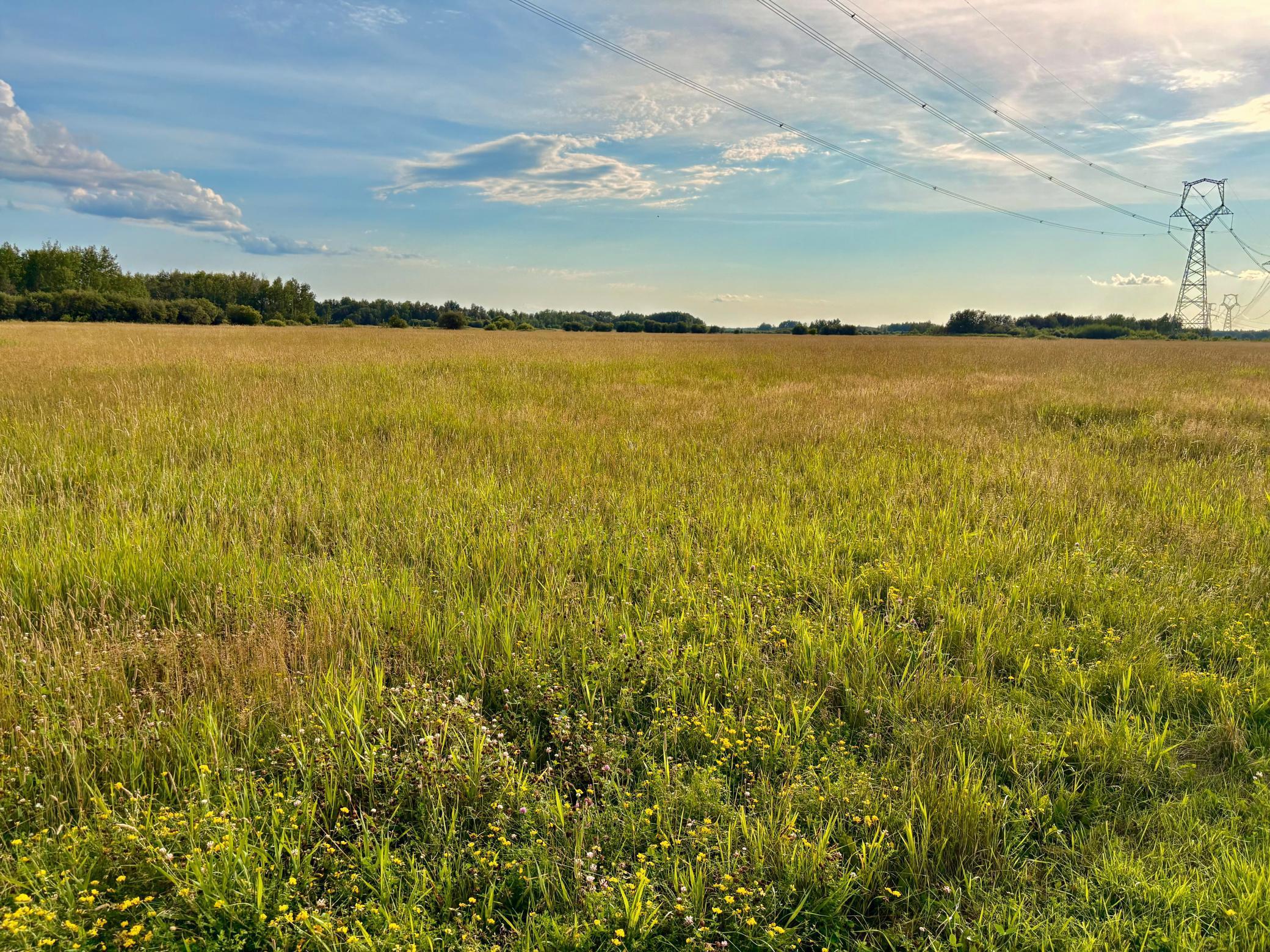 Tbd Tbd 13th Avenue Baudette, MN 56623 - Photo 1 of 11