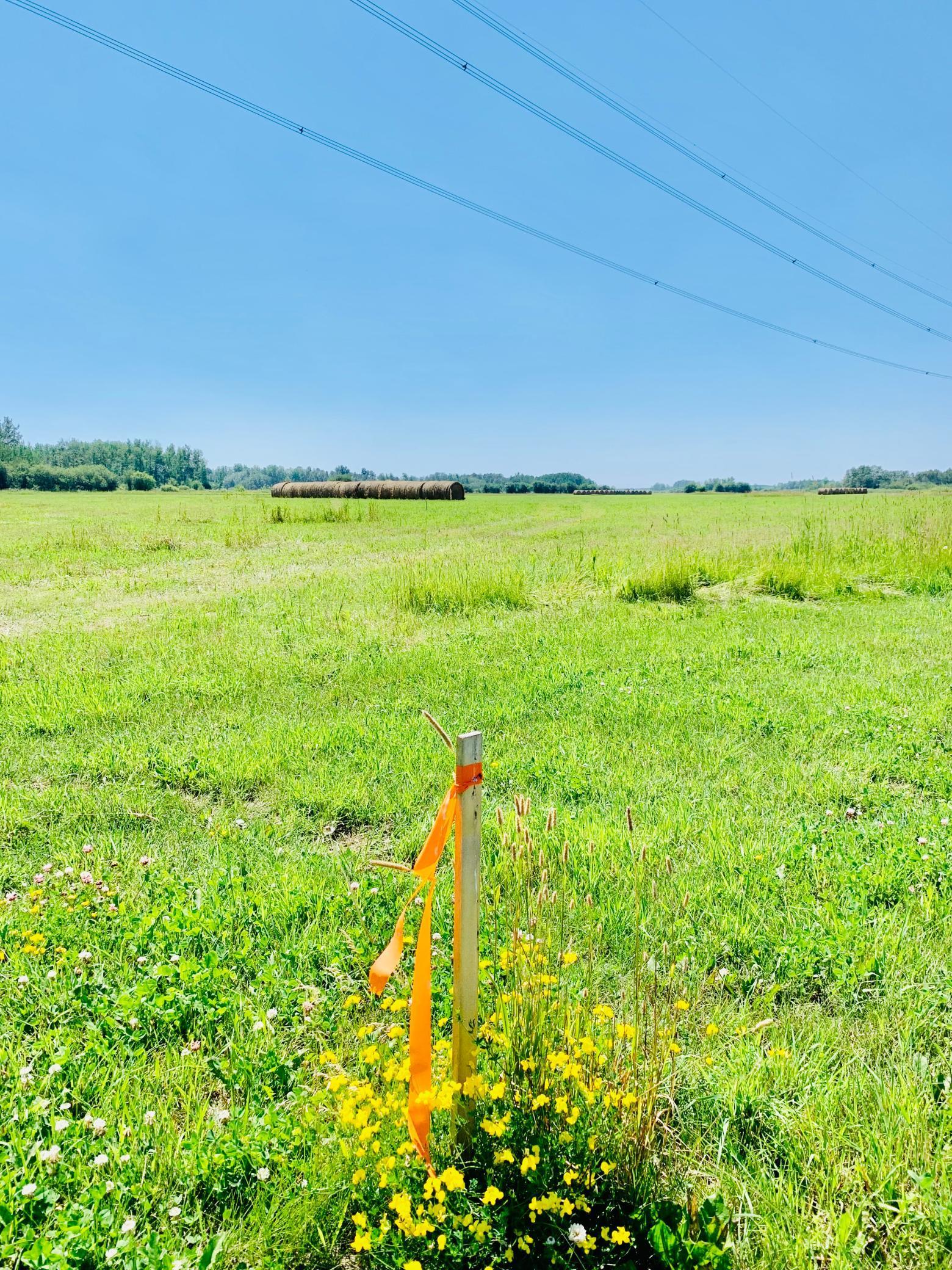 Tbd Tbd 13th Avenue Baudette, MN 56623 - Photo 7 of 11