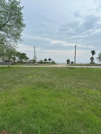 a view of a green field with an trees