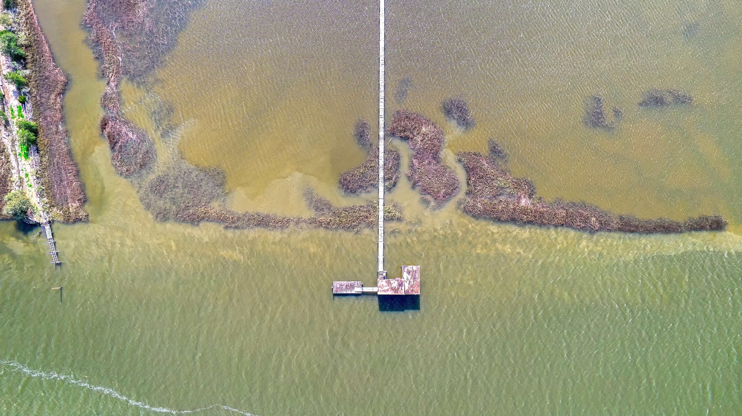 3188 Bohicket Road Johns Island, SC 29455 - Photo 48 of 78 CREM_3188 Bohicket Rd_012