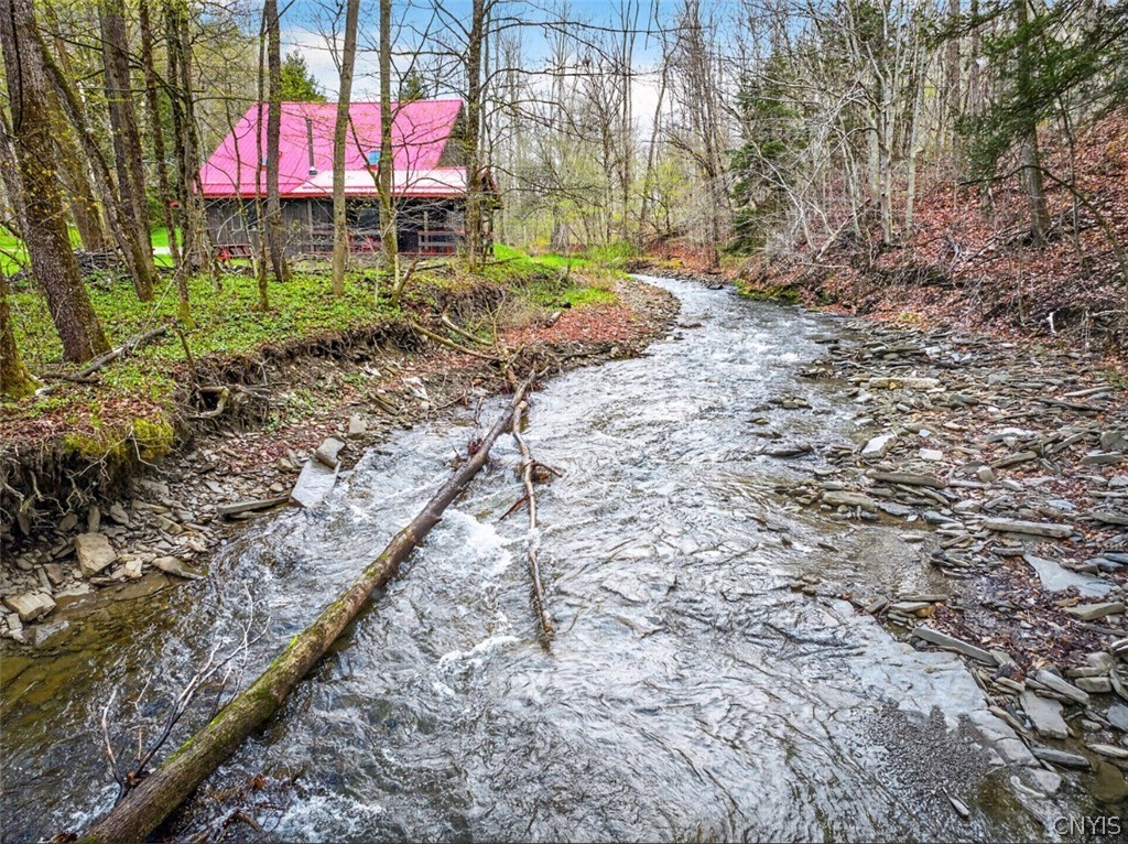 414 Hulbert Hollow Road Spencer, NY 14883 - Photo 2 of 45