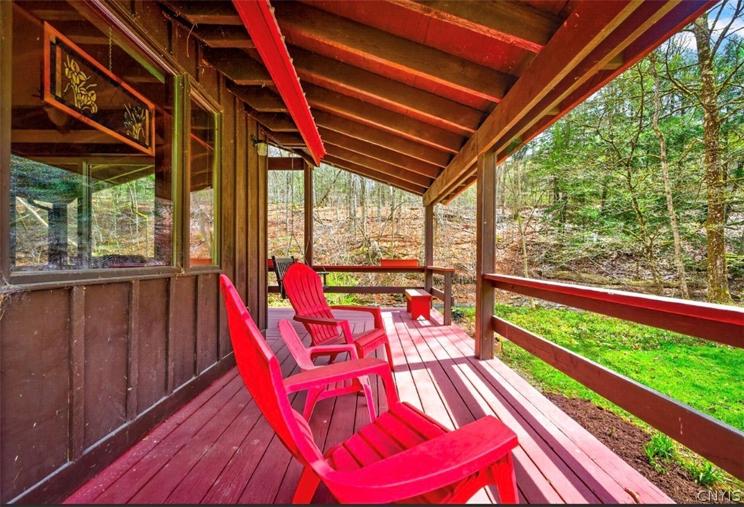 414 Hulbert Hollow Road Spencer, NY 14883 - Photo 43 of 45