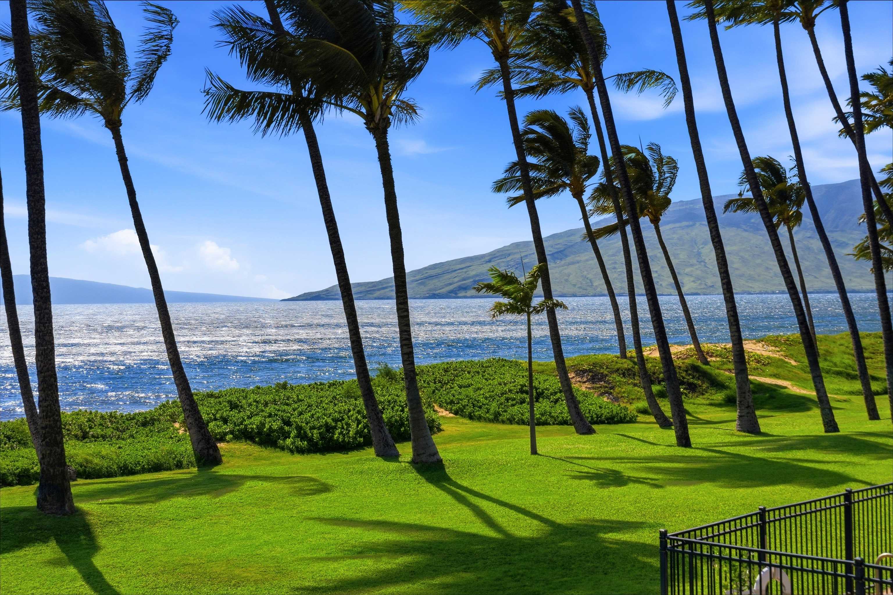 1310 Uluniu Road, Unit 202 Kihei, HI 96753 - Photo 19 of 39
