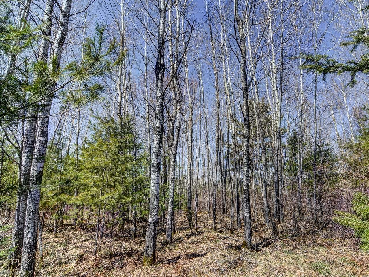 Off Burnt Bridge Road St. Germain, WI 54558 - Photo 10 of 13 Gallery Image 10