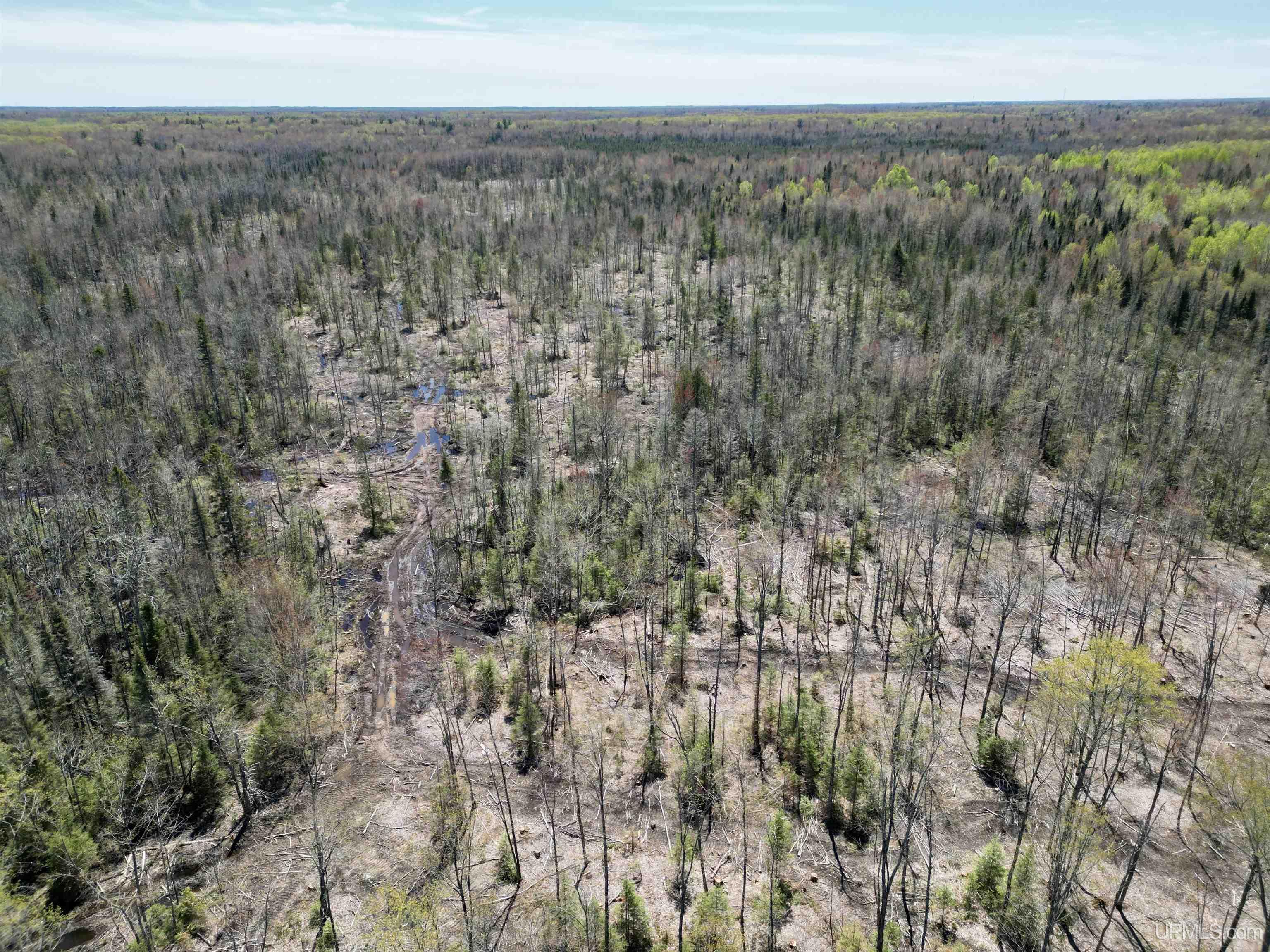 3601 Cr444 Road Rock, MI 49880 - Photo 47 of 78