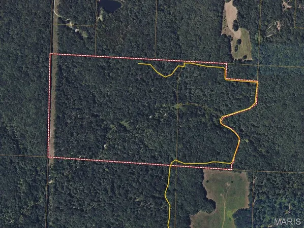$766,500 | 73-ac Tree Farm Road, New Florence, MO 63363