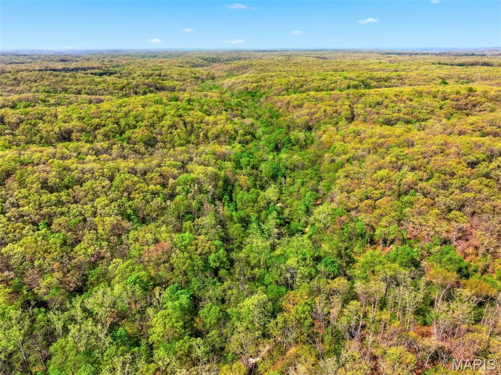 73-ac Tree Farm Road New Florence, MO 63363 - Photo 12 of 23