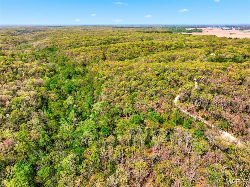 73-ac Tree Farm Road New Florence, MO 63363 - Photo 13 of 23