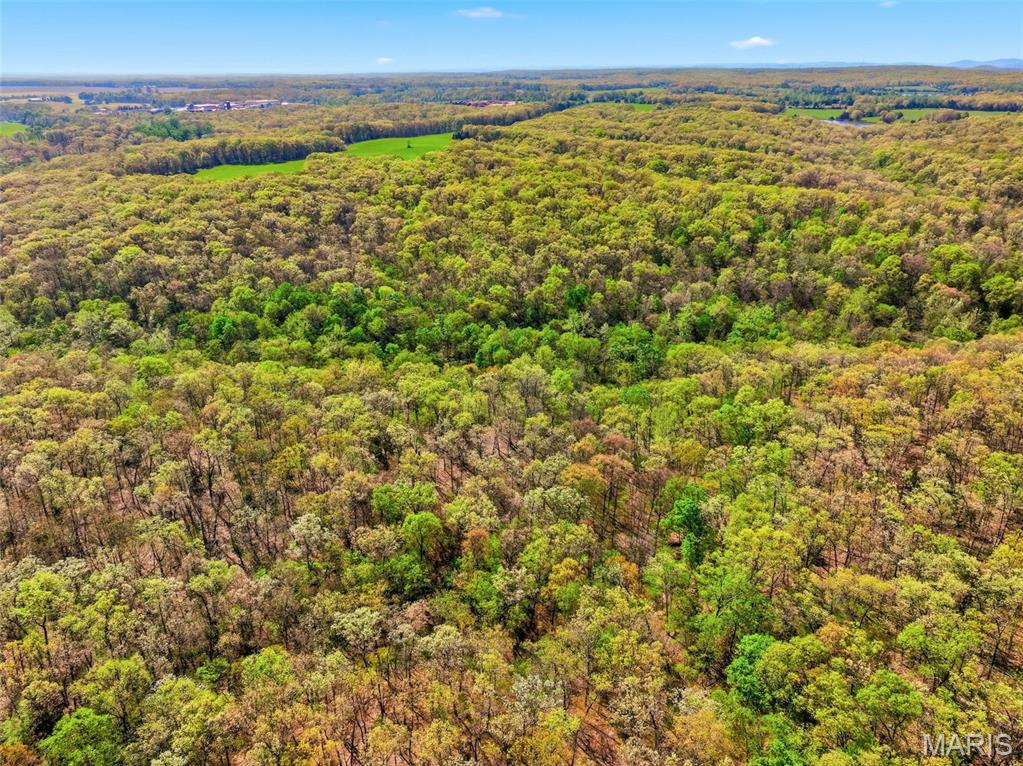 73-ac Tree Farm Road New Florence, MO 63363 - Photo 16 of 23