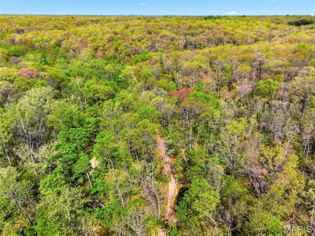 73-ac Tree Farm Road New Florence, MO 63363 - Photo 17 of 23