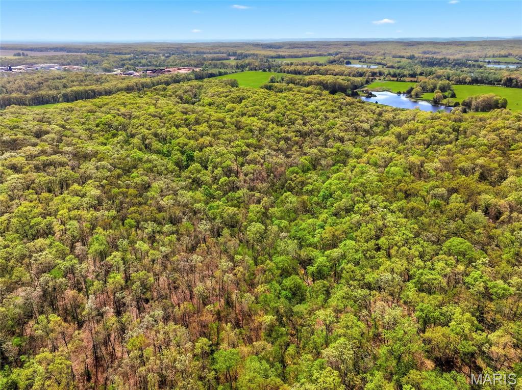 73-ac Tree Farm Road New Florence, MO 63363 - Photo 19 of 23