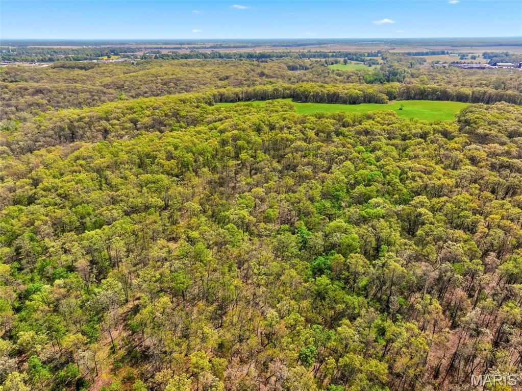 73-ac Tree Farm Road New Florence, MO 63363 - Photo 20 of 23