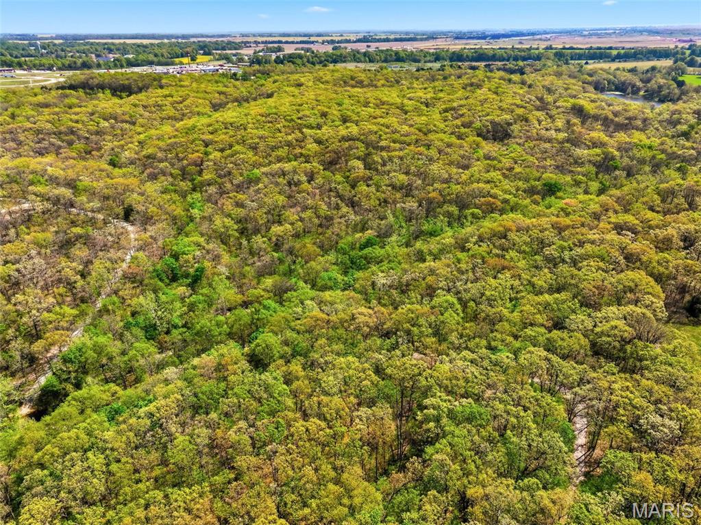 73-ac Tree Farm Road New Florence, MO 63363 - Photo 21 of 23