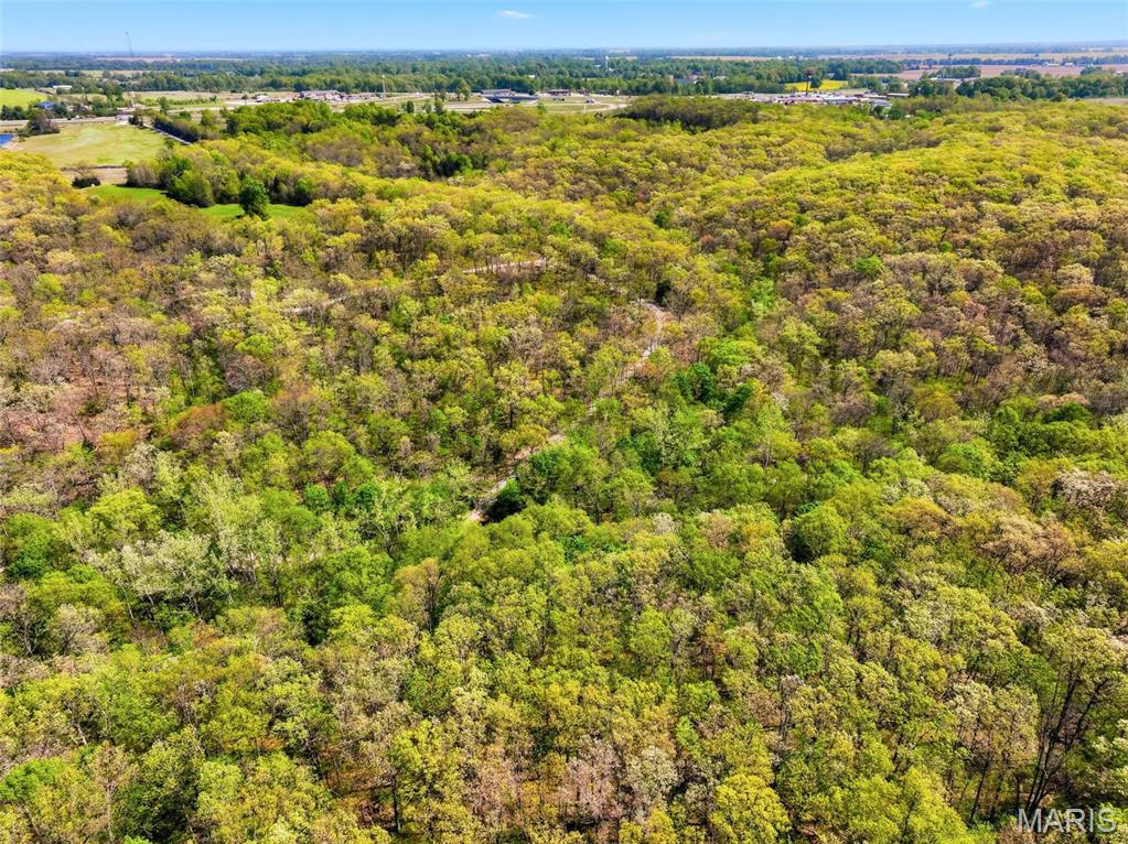 73-ac Tree Farm Road New Florence, MO 63363 - Photo 22 of 23