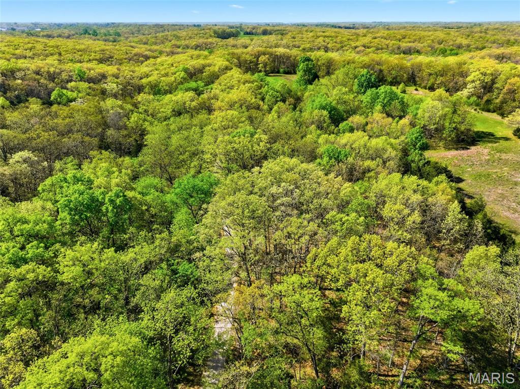 73-ac Tree Farm Road New Florence, MO 63363 - Photo 5 of 23