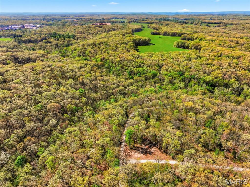 73-ac Tree Farm Road New Florence, MO 63363 - Photo 6 of 23
