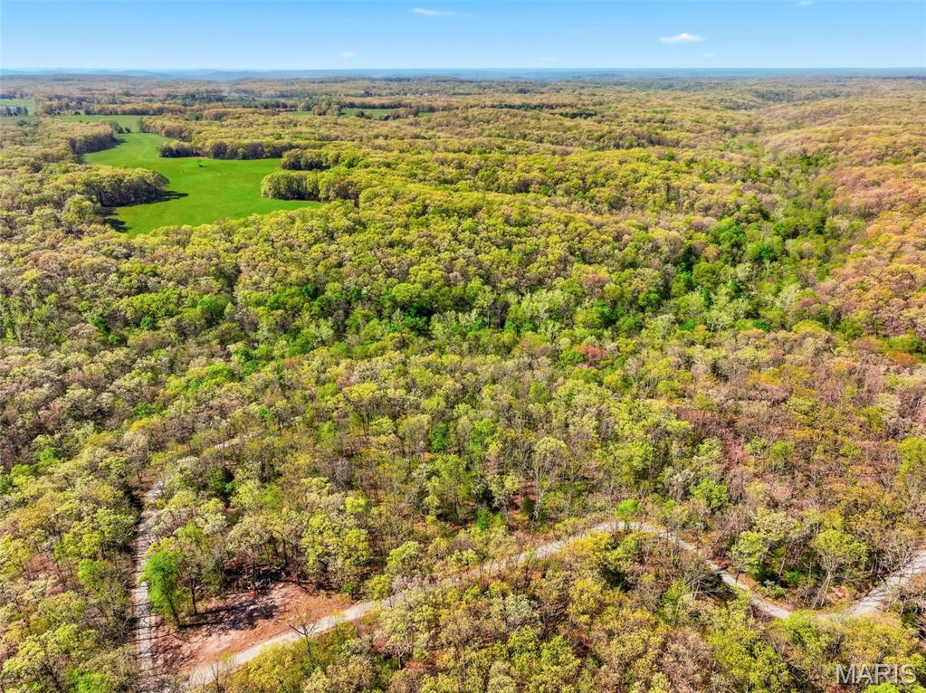 73-ac Tree Farm Road New Florence, MO 63363 - Photo 8 of 23