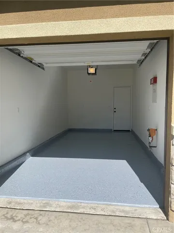 a plant is in front of a window