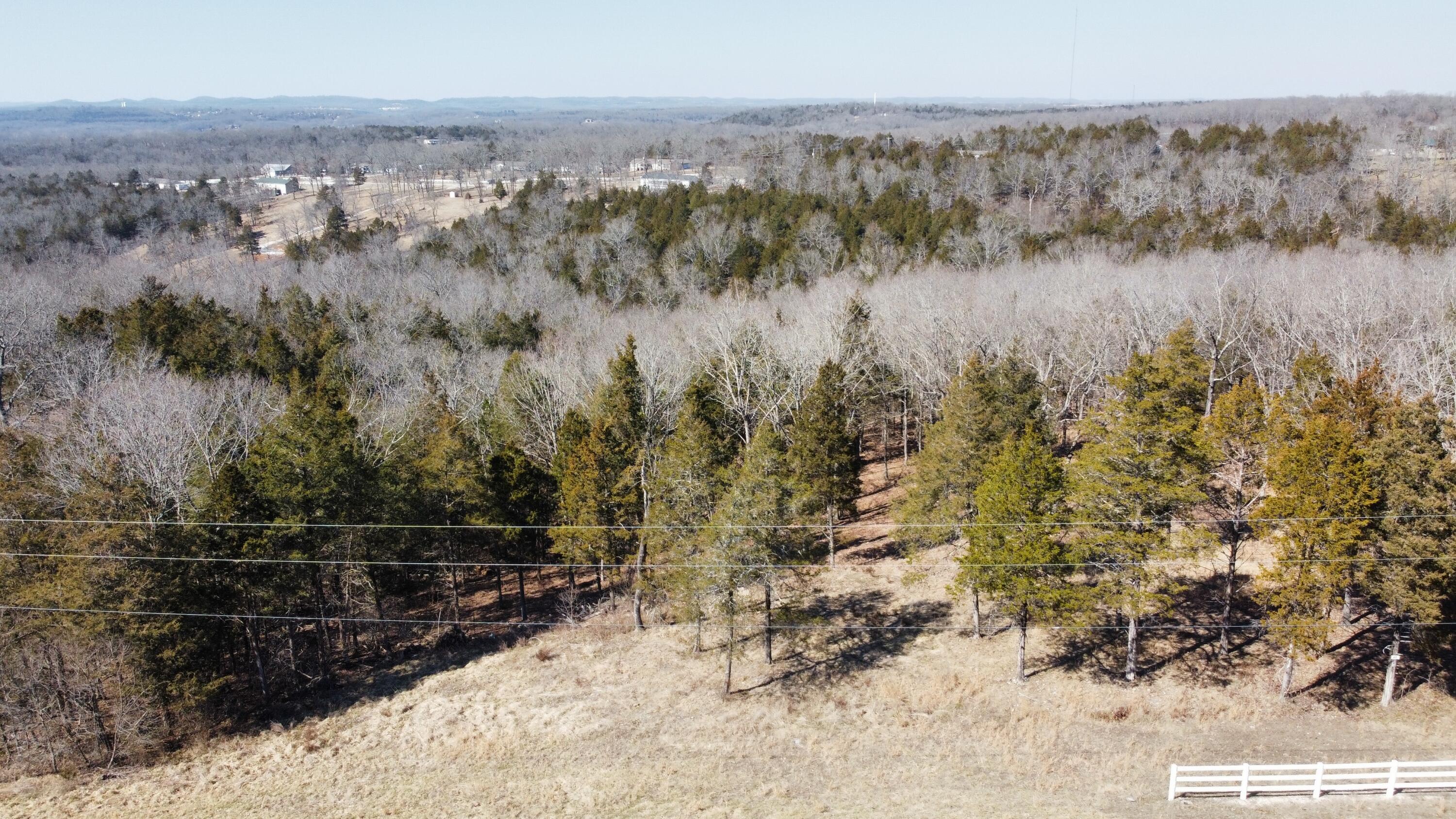 985 Lake Point Road Kissee Mills, MO 65680 - Photo 1 of 1 RemoteMediaFile_6553697_0_2022_03_03_13_