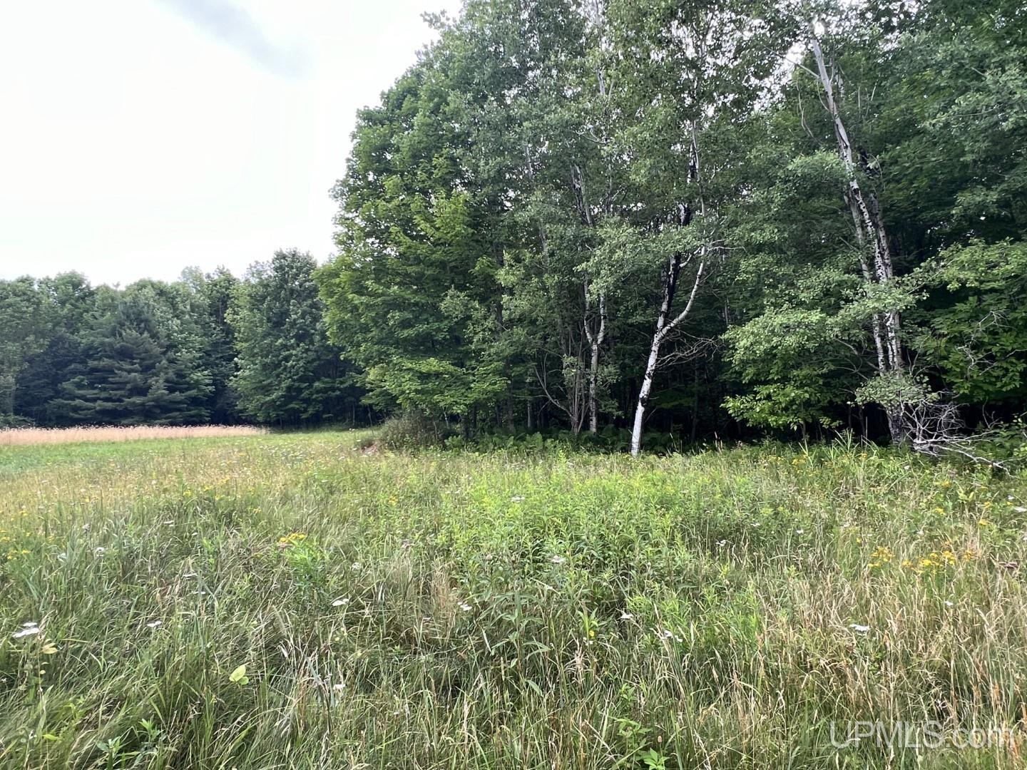 14244 Lindemann Road Baraga, MI 49908 - Photo 31 of 35 Gallery Image 31