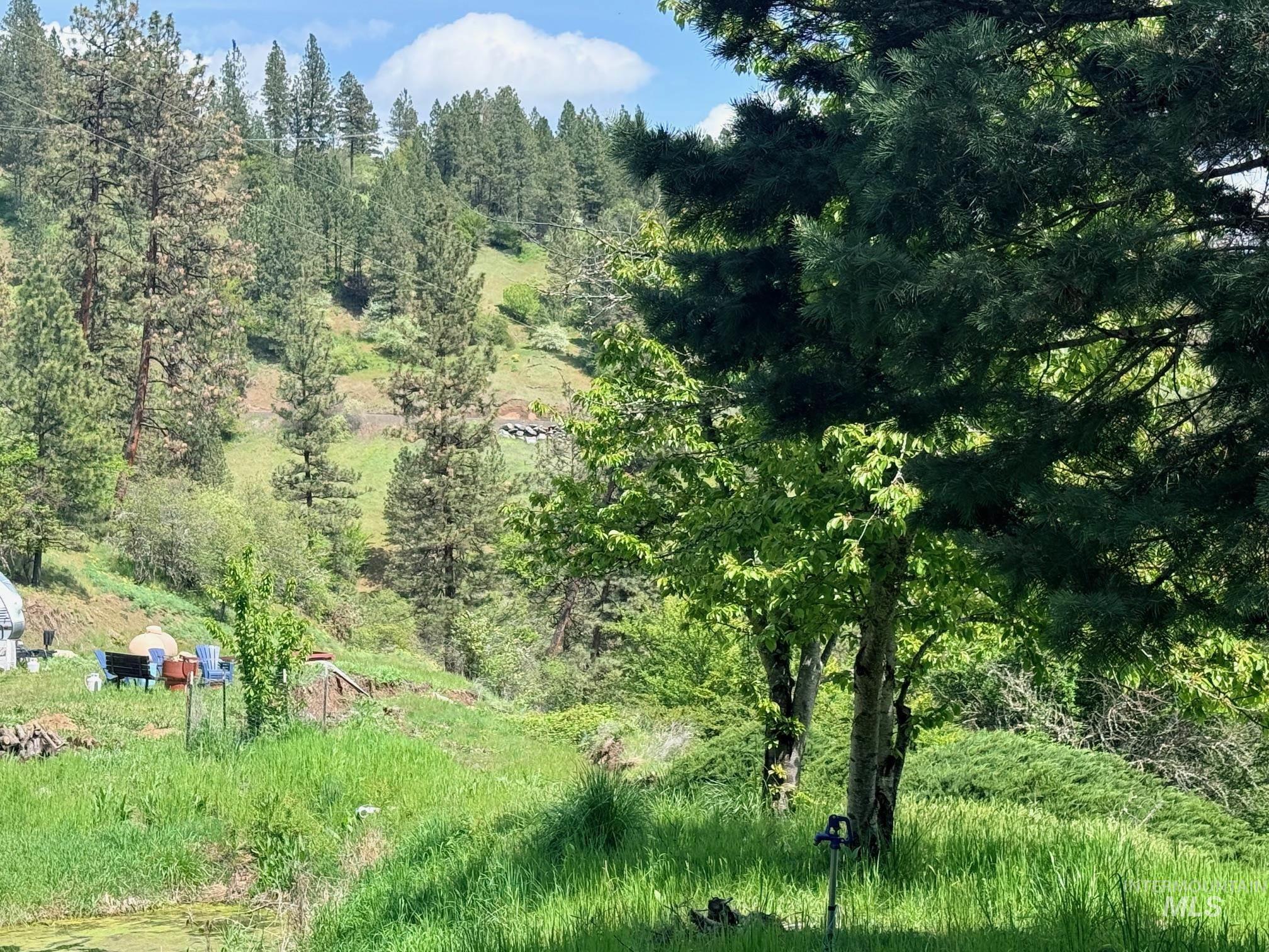 620 Old Peck Grade Lenore, ID 83541 - Photo 24 of 45