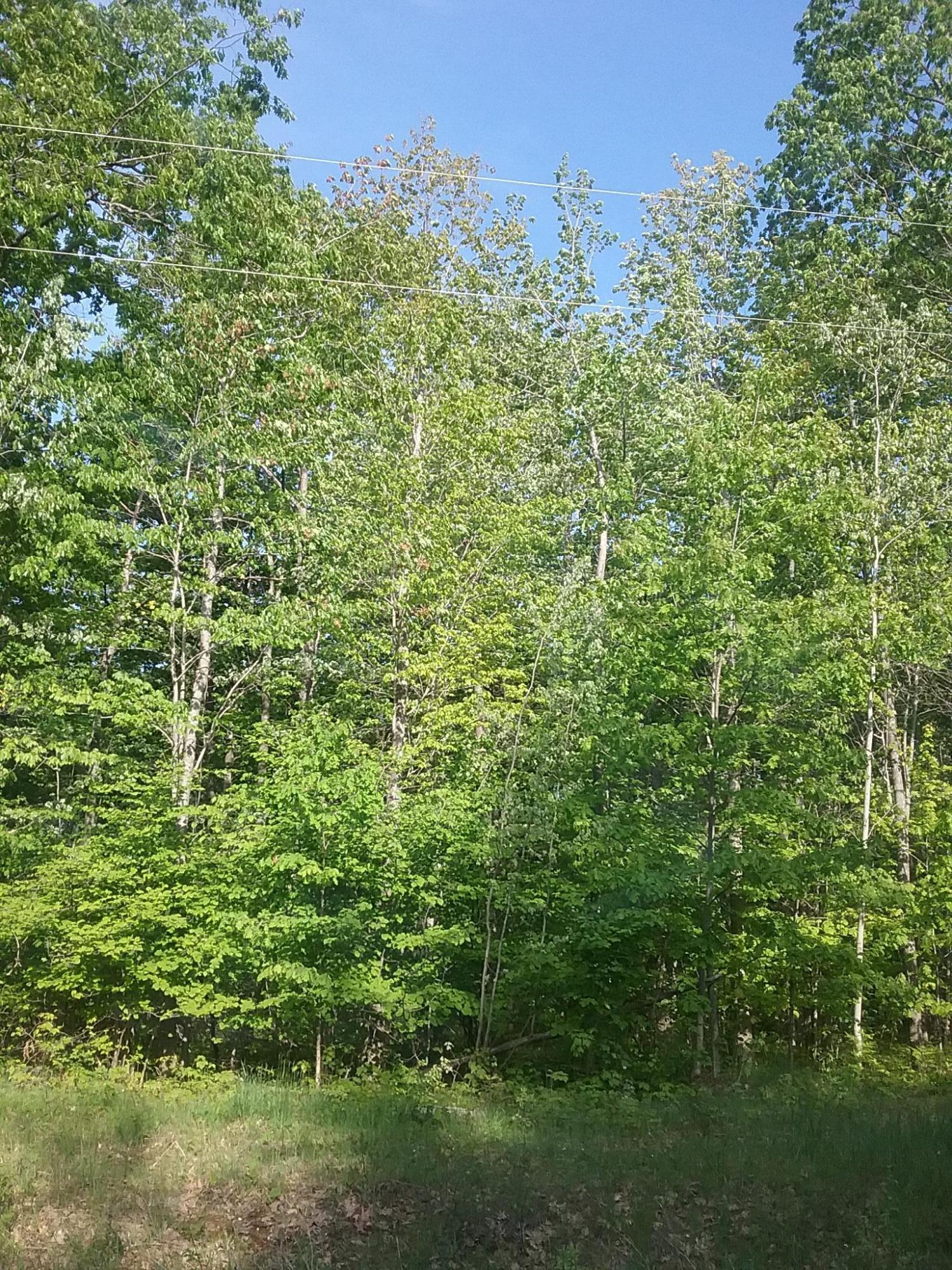South Extension Road Cheboygan, MI 49721 - Photo 11 of 11 Gallery Image 11