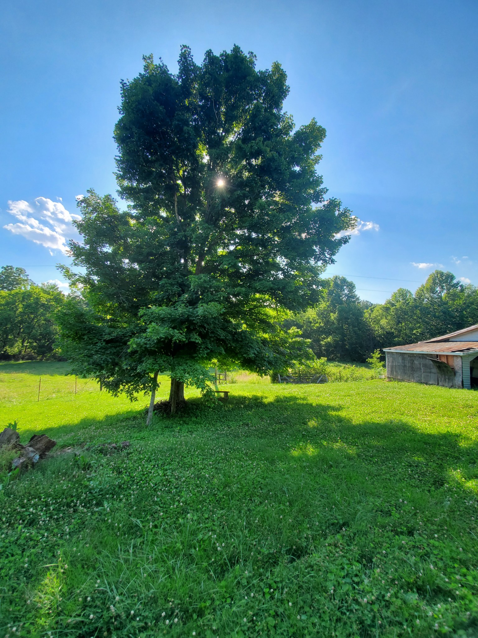 2356 Bunker Hill Road Pulaski, TN 38478 - Photo 3 of 12 Gallery Image 3
