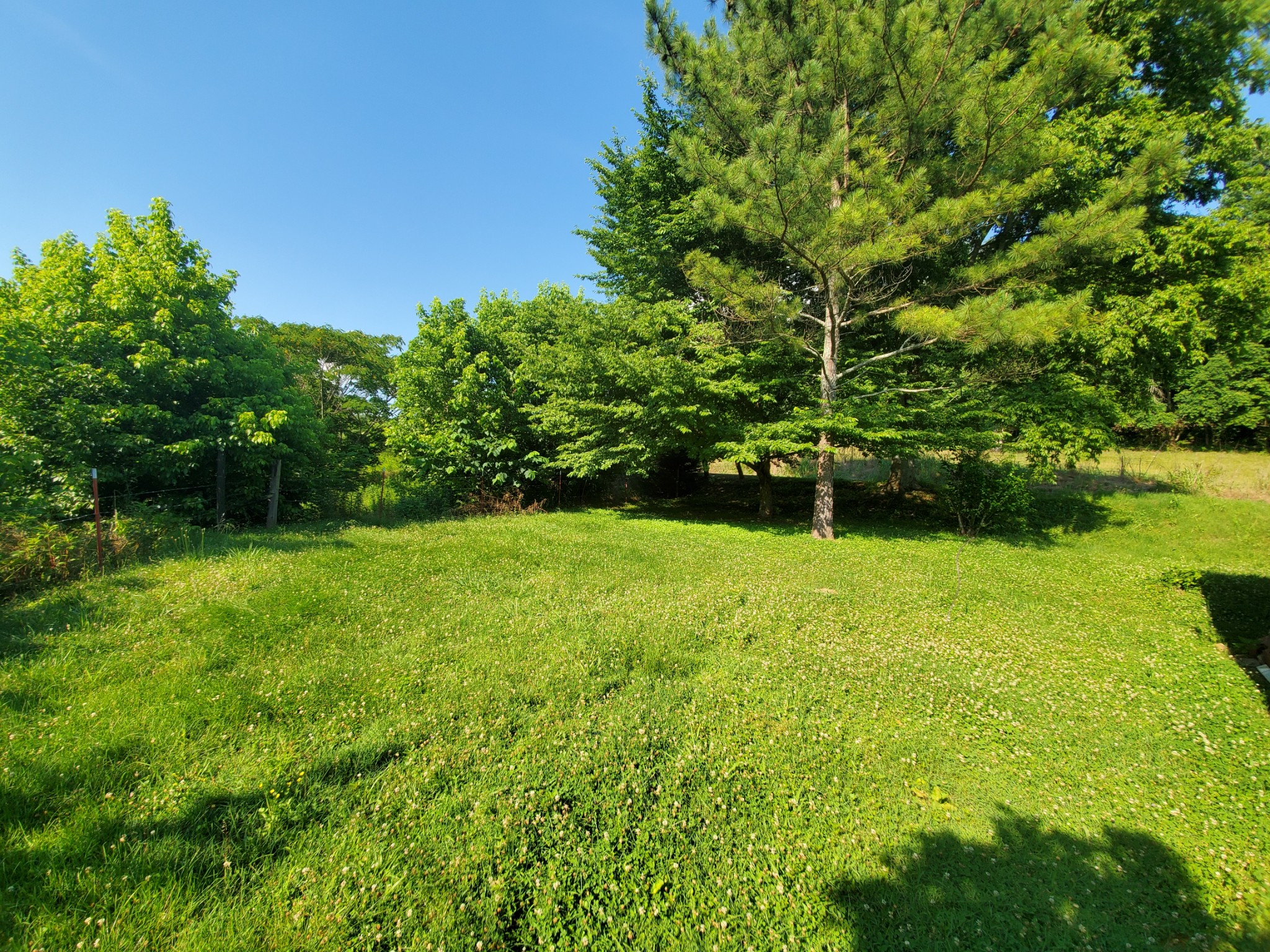 2356 Bunker Hill Road Pulaski, TN 38478 - Photo 4 of 12 Gallery Image 4