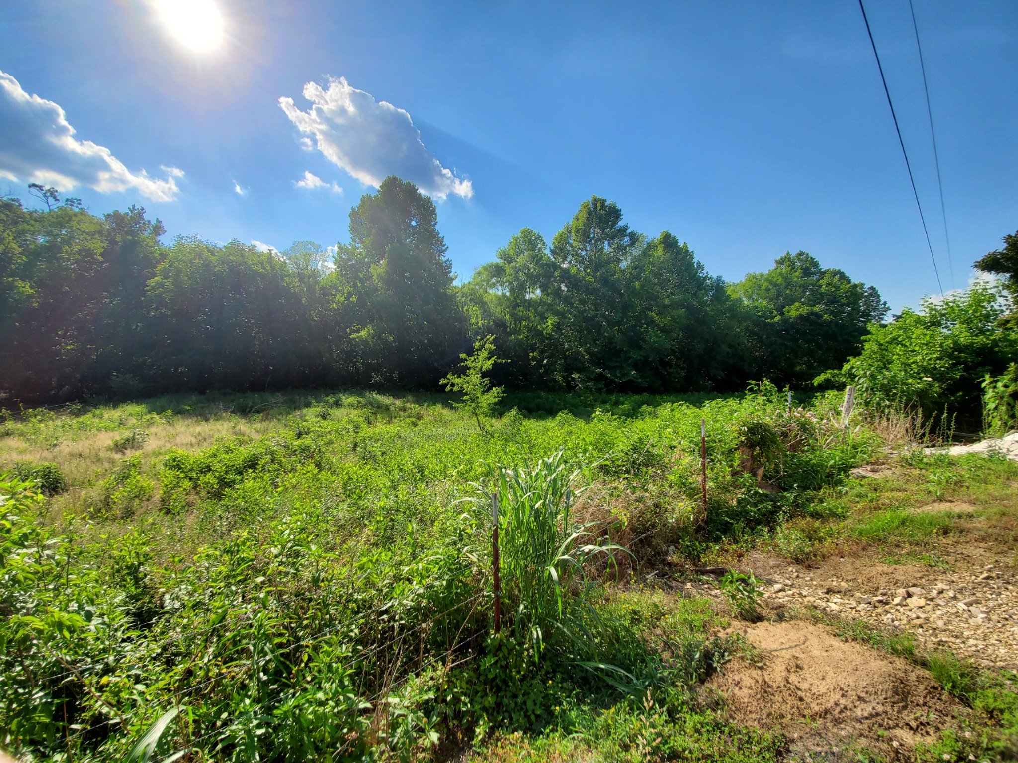 2356 Bunker Hill Road Pulaski, TN 38478 - Photo 5 of 12 Gallery Image 5