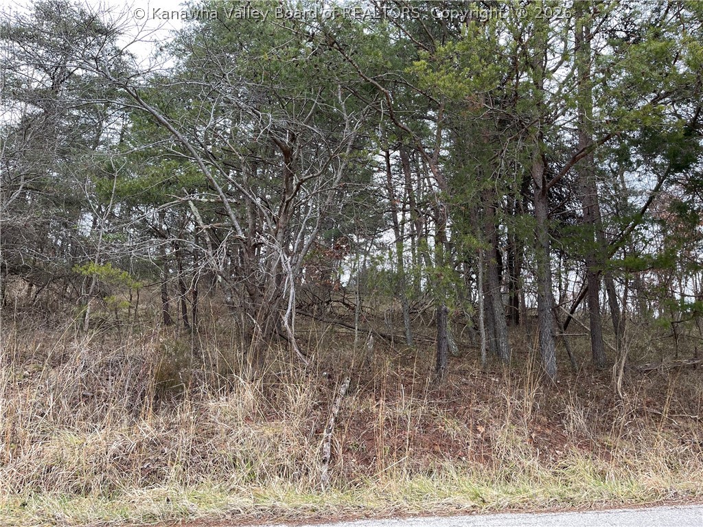 0 Corner Leon Baden & Bug Run Road Leon, WV 25123 - Photo 3 of 12 Gallery Image 3