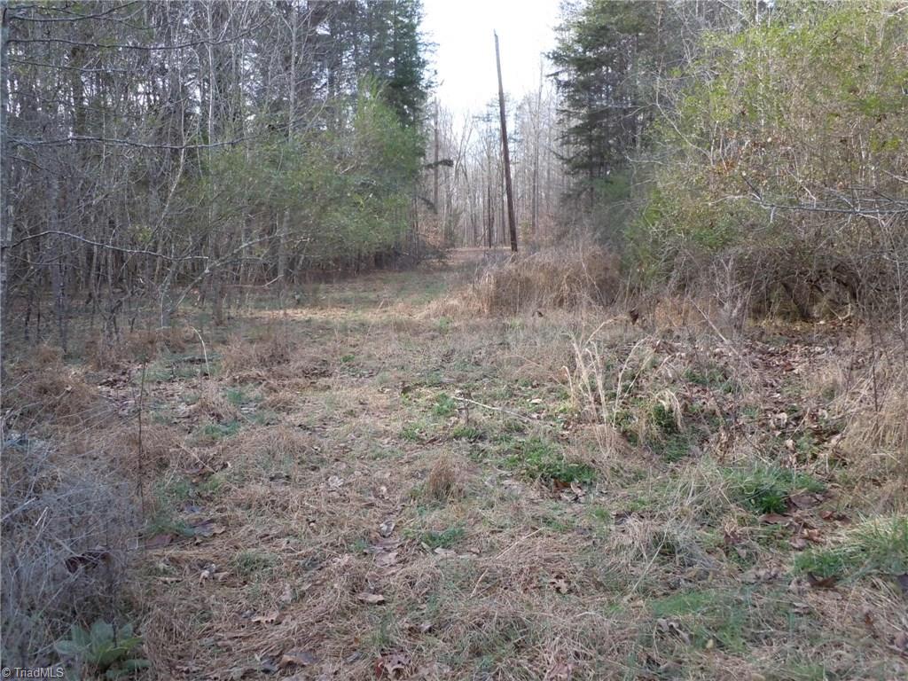 0 Germanton Road, Unit TRACT B Rural Hall, NC 27045 - Photo 14 of 30