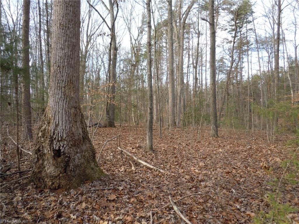 0 Germanton Road, Unit TRACT B Rural Hall, NC 27045 - Photo 22 of 30